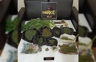 Saksı içinde hint keneviri yetiştiren şahıs tutuklandı