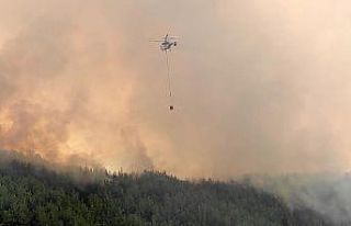 Samandağ’da korkutan yangın