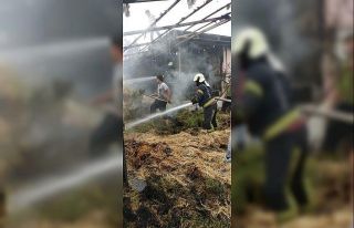 Samanlıkta çıkan yangın korkuttu!