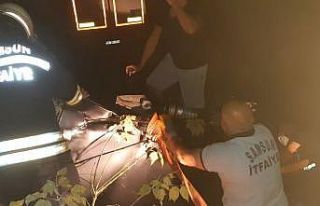 Samsun’da iki otomobil çarpıştı: 2 ölü, 4...