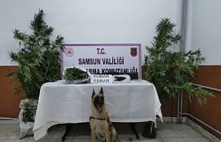 Samsun’da uyuşturucuya geçit yok