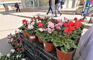 Sandıklı Belediyesinin mevsimlik çiçeklerine büyük...
