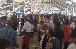 Şanlıurfa’da güvercin pazarında korona denetimi