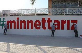 Şanlıurfa’da temalı meydan ve trafo boyaması