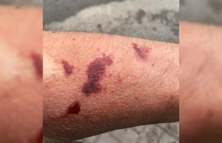 Sapanca’da ’Asya Kaplan’ı paniği