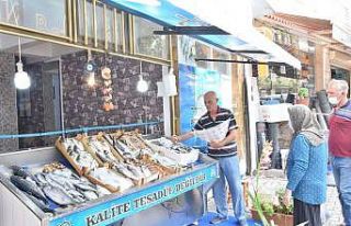 Sardalyanın kilosu 20 liraya düştü