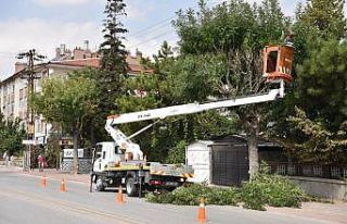 Selçuklu’da ağaç budama çalışmaları sürüyor