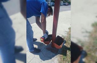 Serdivan Belediyesi sokak hayvanlarını unutmuyor