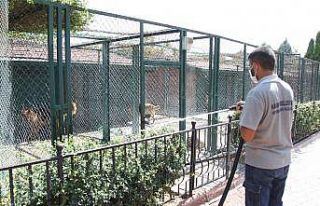 Sıcaktan bunalan hayvanlar serinletiliyor