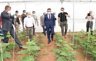 Siirt’te son 5 yılda tarım alanına 260 milyon...