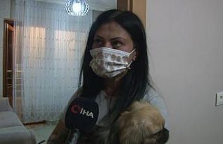 Şikayetini geri çekmeyen sevgilisinin köpeğini...