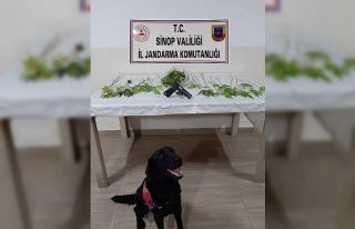 Sinop’ta uyuşturucu operasyonu: 2 gözaltı