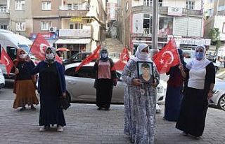 Şırnaklı anne HDP il binasına gelerek dağa kaçırılan...