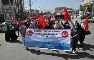 Şırnaklı kadınlar HDP binasına yürüyerek kan...