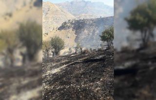 Şırnak’ta ağaçlık alanda yangın: Yüzlerce...