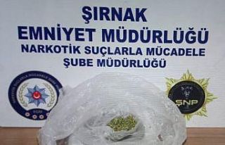 Şırnak’ta kaçakçılık operasyonları: 28 gözaltı
