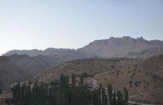 Şırnak’ta terör örgütü PKK’ya darbe