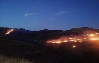 Sivas’ta korkutan ot yangını