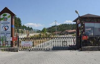 Sokak hayvanlarına şefkat eli