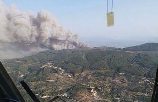 Söke Akçakoca’da orman yangını