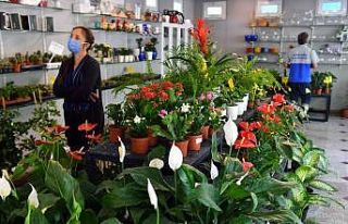 Sonbahar çiçekleri Başkentlileri bekliyor