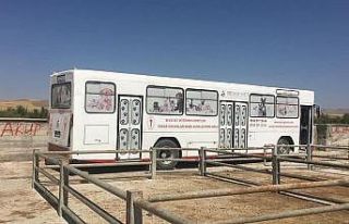 Sungurlu’da sokak hayvanları kısırlaştırılıyor