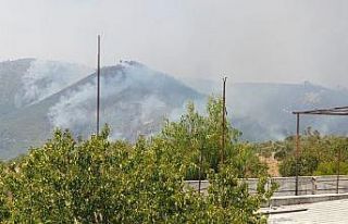 Suriye sınırındaki orman yangını sürüyor