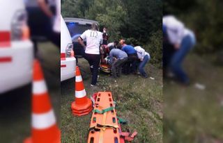 Talihsiz kadın ağaçtan dere yatağına düştü