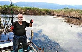 Tapulu tarlada tekneyle balık avlıyorlar
