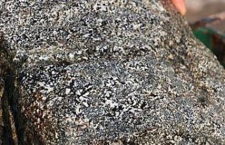 Tarlada bulduğu taşı yatak odasında saklıyor