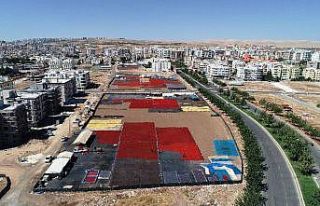 Tarladan tezgaha isot serüveni