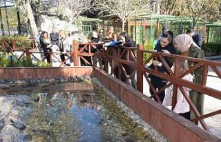 Tarsus Doğa Parkı, hijyen ve temizlik için pazartesi...
