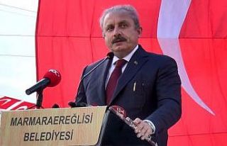 TBMM Başkanı Şentop: "Belli suçlara mahsus...