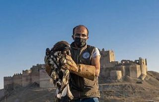 Tedavisi tamamlanan Kaya Kartalı özgürlüğüne...