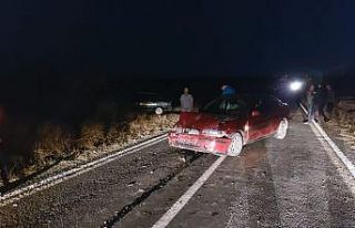 Tekirdağ’da otomobil koyun sürüsüne daldı:...