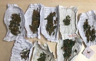 Tekirdağ’da son bir ayda çeşitli suçlardan 25...
