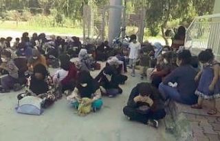 Tekne arıza yapınca faciadan dönüldü, 2 organizatör...