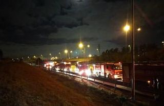 TEM Otoyolu kenarındaki ormanlık alanda çıkan...