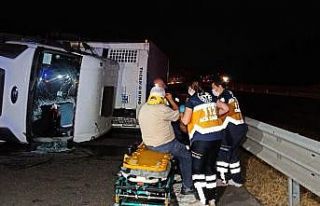 Tem otoyolunda kamyon devrildi; 1 yaralı