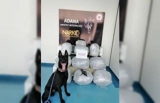 Tır yatağından 46 kilo 250 gram esrar çıktı