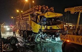 Tıra arkadan çarpan tomruk yüklü tır hurdaya...