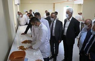 TMO ilk kayısı alımını yaptı