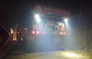 Tokat’ta orman yangını