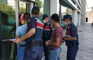 Toprağa gömülen bonzaiyi çıkartırken yakalandılar