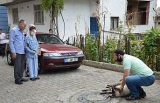 Torpilden gözünü kaybeden çocuk taburcu oldu,...