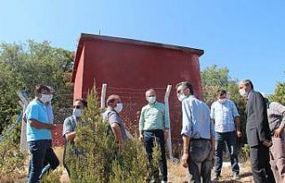 Tosya Kaymakamı çalışmaları inceledi