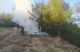 Trafik kazası orman yangınına neden oldu