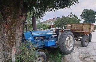 Traktörüyle seyir halindeyken arı soktu, hayatını...