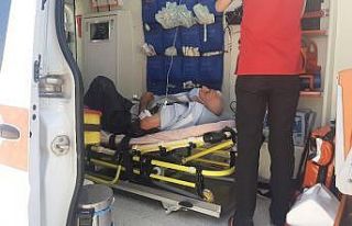 Türbeyi soymak isteyen hırsız yaşlı adamı vurdu