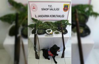 Türkeli’de uyuşturucu operasyonu: 2 gözaltı
